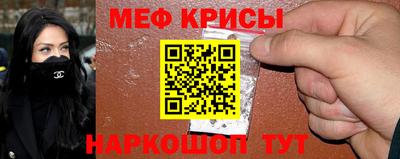 шишки Бийск