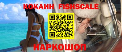 шишки Бийск