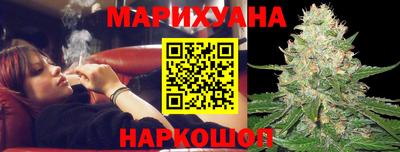 шишки Бийск