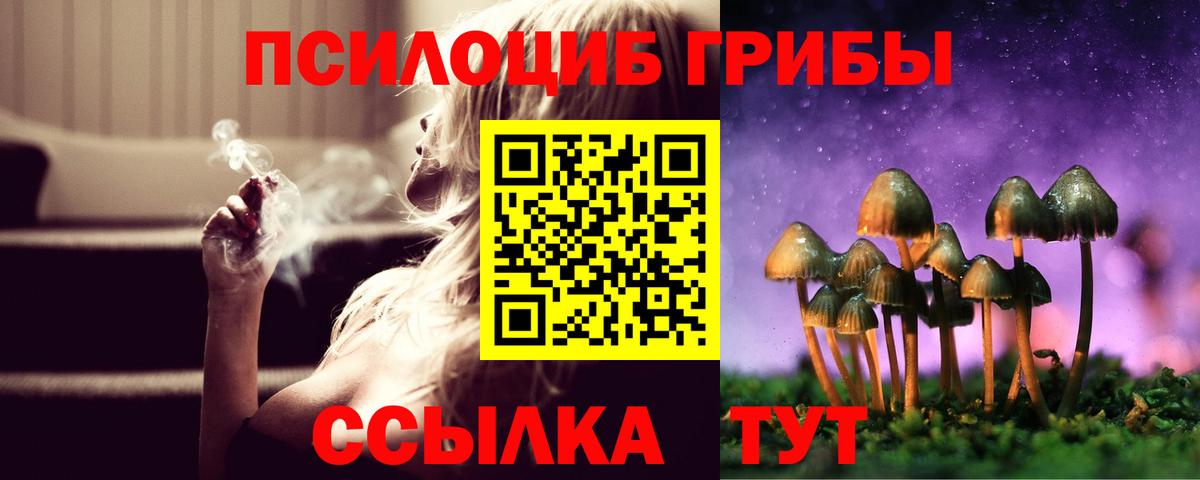 Псилоцибиновые грибы прущие грибы Верхняя Пышма