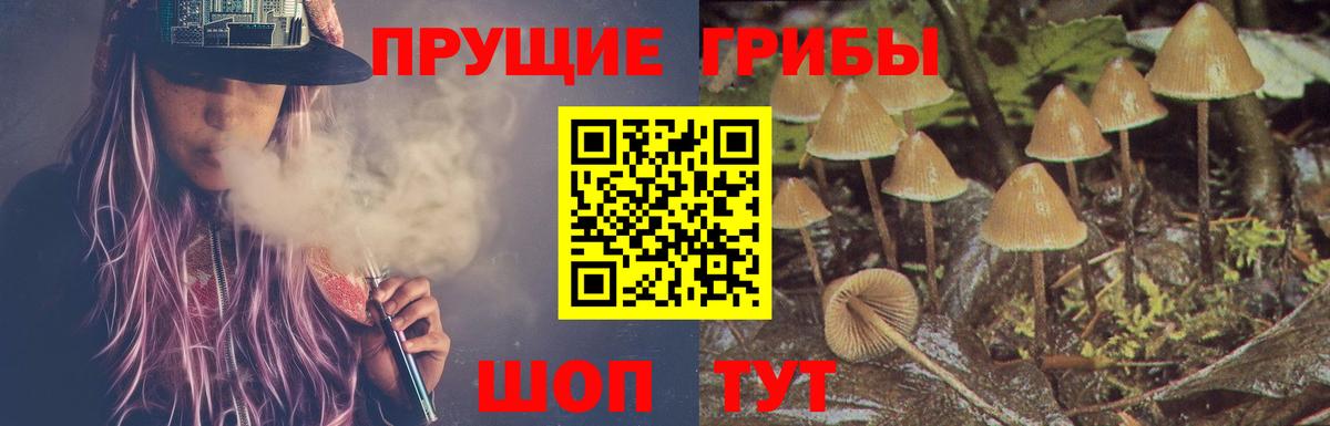 Псилоцибиновые грибы Cubensis  сколько стоит  Верхняя Пышма  Вход с VPN 